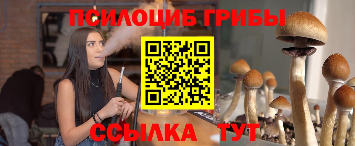 Коркино  Псилоцибиновые грибы мухоморы  Вход с VPN 