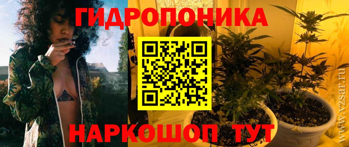 Канабис сатива  Конопля Bruce Banner  Коркино  Каннабис семена  Каннабис марихуана  Вход с VPN 